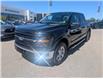 2025 Ford F-150 XLT (Stk: 19577) in Calgary - Image 1 of 23