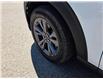 2025 Ford Explorer Active (Stk: 7205) in Calgary - Image 10 of 15 2025 Ford Explorer Active (Stk: 7205) in Calgary - Image 10 of 15