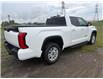 2023 Toyota Tundra SR (Stk: 28523P) in Newmarket - Image 4 of 8
