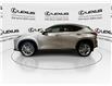 2024 Lexus NX 350  (Stk: 14112909A) in Markham - Image 5 of 28