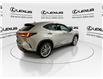 2024 Lexus NX 350  (Stk: 14112909A) in Markham - Image 8 of 28
