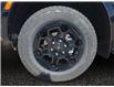 2026 Ford Ranger XLT (Stk: 26T101) in ROCKY MOUNTAIN HOUSE - Image 14 of 15