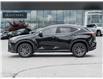2025 Lexus NX 350  (Stk: 15105997A) in Richmond Hill - Image 4 of 28