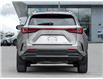 2025 Lexus NX 350h  (Stk: 15106042A) in Richmond Hill - Image 7 of 28