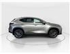 2026 Lexus NX 350  (Stk: 14113041) in Markham - Image 8 of 20