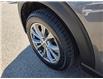 2022 Ford Explorer XLT (Stk: TA-813A) in Calgary - Image 11 of 15