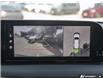 2024 Hyundai Palisade Ultimate Calligraphy (Stk: U26T205A) in London - Image 27 of 27