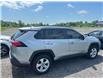 2019 Toyota RAV4 XLE (Stk: 28526W) in Newmarket - Image 4 of 10 2019 Toyota RAV4 XLE (Stk: 28526W) in Newmarket - Image 4 of 10