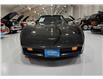 1981 Chevrolet Corvette Custom Coupe (Stk: 422145) in Watford - Image 3 of 46
