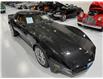 1981 Chevrolet Corvette Custom Coupe (Stk: 422145) in Watford - Image 14 of 46