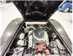 1981 Chevrolet Corvette Custom Coupe (Stk: 422145) in Watford - Image 30 of 46