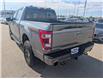 2023 Ford F-150 Tremor (Stk: TK-173A) in Calgary - Image 5 of 27