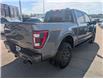 2023 Ford F-150 Tremor (Stk: TK-173A) in Calgary - Image 7 of 27