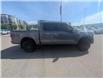 2023 Ford F-150 Tremor (Stk: TK-173A) in Calgary - Image 8 of 27
