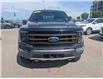 2023 Ford F-150 Tremor (Stk: TK-173A) in Calgary - Image 10 of 27