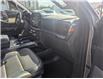 2023 Ford F-150 Tremor (Stk: TK-173A) in Calgary - Image 12 of 27