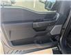 2023 Ford F-150 Tremor (Stk: TK-173A) in Calgary - Image 20 of 27