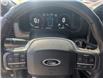 2023 Ford F-150 Tremor (Stk: TK-173A) in Calgary - Image 26 of 27
