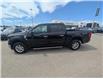 2024 Ford F-150 XLT (Stk: 19574) in Calgary - Image 4 of 24
