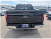 2024 Ford F-150 XLT (Stk: 19574) in Calgary - Image 6 of 24