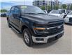 2024 Ford F-150 XLT (Stk: 19574) in Calgary - Image 9 of 24