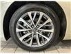 2023 Lexus ES 250  (Stk: 14U7677) in Markham - Image 10 of 26