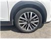 2025 Nissan Kicks Play SV (Stk: P7368) in Brantford - Image 19 of 23