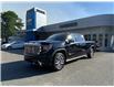 2023 GMC Sierra 1500 Denali (Stk: 6T181A) in Hope - Image 1 of 13
