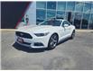 2017 Ford Mustang V6 (Stk: M905A) in Cornwall - Image 1 of 11