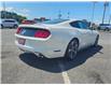 2017 Ford Mustang V6 (Stk: M905A) in Cornwall - Image 7 of 11 2017 Ford Mustang V6 (Stk: M905A) in Cornwall - Image 7 of 11