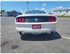 2017 Ford Mustang V6 (Stk: M905A) in Cornwall - Image 8 of 11 2017 Ford Mustang V6 (Stk: M905A) in Cornwall - Image 8 of 11