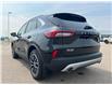 2025 Ford Escape PHEV (Stk: S66663) in Hague - Image 6 of 14