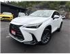 2025 Lexus NX 350h Base (Stk: 15001) in Sudbury - Image 1 of 18