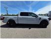 2024 Ford F-150 XLT (Stk: TA-022A) in Calgary - Image 4 of 15