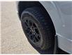 2024 Ford F-150 XLT (Stk: TA-022A) in Calgary - Image 11 of 15