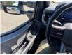 2024 Ford F-250 Lariat (Stk: MFL95473) in Sault Ste. Marie - Image 17 of 25