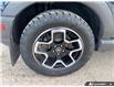 2023 Ford Bronco Sport Big Bend (Stk: MFLFH273A) in Sault Ste. Marie - Image 6 of 23