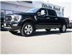 2023 Ford F-150 Platinum (Stk: 31580) in Surrey - Image 1 of 25