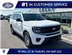 2027 Ford Expedition Platinum (Stk: LFED02076) in Tilbury - Image 1 of 15