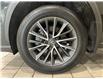 2025 Lexus NX 350  (Stk: 14112593A) in Markham - Image 10 of 27