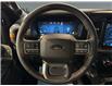 2026 Ford F-150 Tremor (Stk: T0104) in ROSETOWN - Image 14 of 17