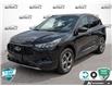 2024 Ford Escape ST-Line (Stk: U-3049A) in Tillsonburg - Image 1 of 10