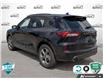 2024 Ford Escape ST-Line (Stk: U-3049A) in Tillsonburg - Image 4 of 10