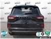 2024 Ford Escape ST-Line (Stk: U-3049A) in Tillsonburg - Image 5 of 10
