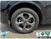 2024 Ford Escape ST-Line (Stk: U-3049A) in Tillsonburg - Image 6 of 10