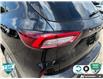 2024 Ford Escape ST-Line (Stk: U-3049A) in Tillsonburg - Image 10 of 10
