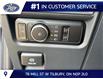 2026 Ford F-150 XLT (Stk: LFFF02100) in Tilbury - Image 8 of 12