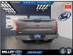2020 Ford F-150  (Stk: 26P084) in Kentville - Image 3 of 15