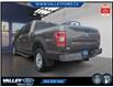 2020 Ford F-150  (Stk: 26P084) in Kentville - Image 4 of 15