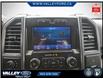 2020 Ford F-150  (Stk: 26P084) in Kentville - Image 15 of 15